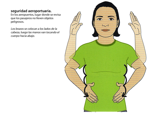 SEGURIDAD AEROPORTUARIA
