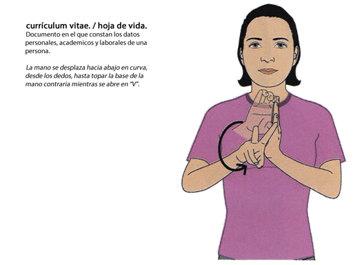 CURRICULUM VITAE - HOJA DE VIDA