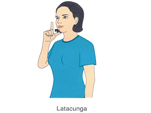 LATACUNGA