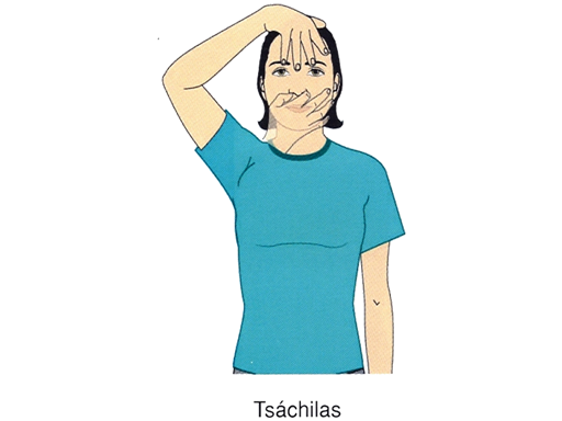 TSACHILAS