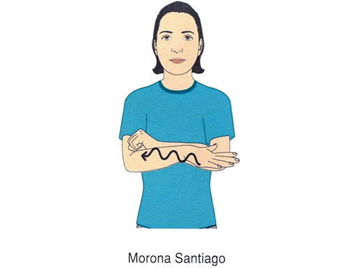 MORONA SANTIAGO