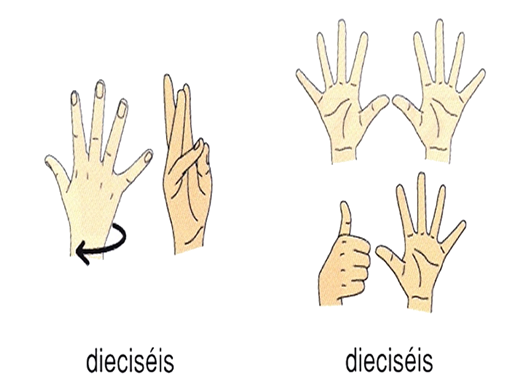 DIECISEIS