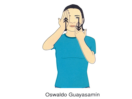 OSWALDO GUAYASAMIN